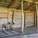Brancs Rancs Appartamento Dunabogdány
