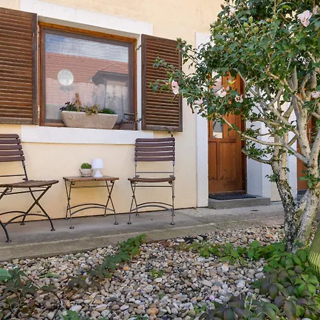 Brancs Rancs Apartment *